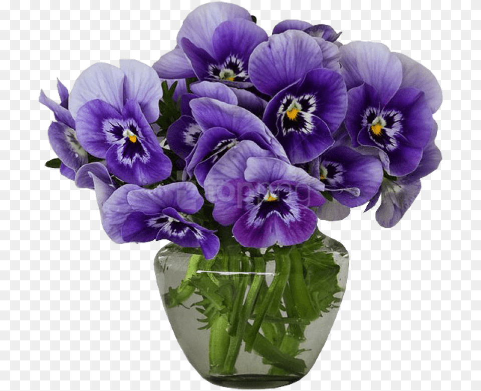 Transparent Vase Of Flowers Violets Flower In A Vase, Plant, Flower Arrangement, Pansy Png