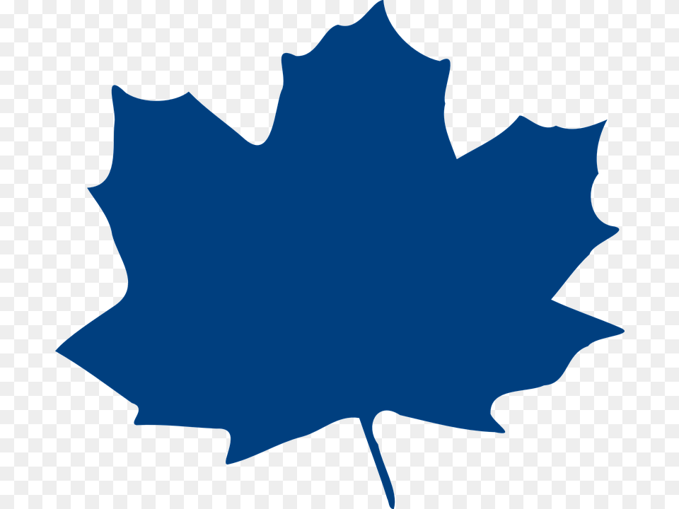 Vector, Leaf, Maple Leaf, Plant, Person Free Transparent Png