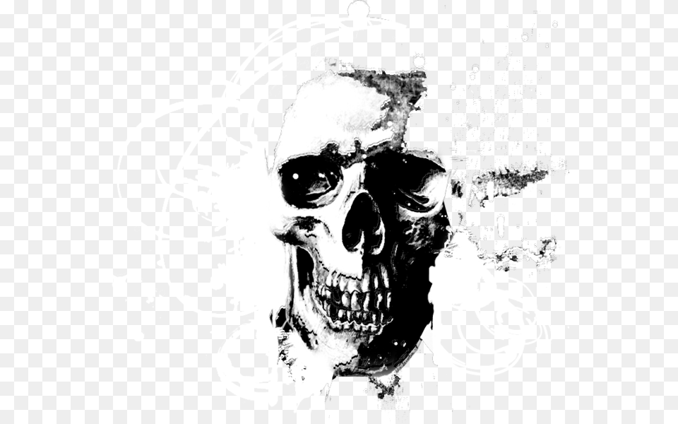Transparent Vector Skull Skull Vector Images Transparent, Adult, Male, Man, Person Png