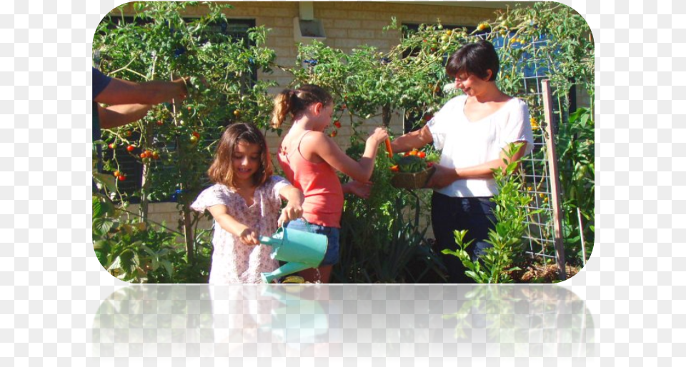 Transparent Vegetable Garden Fir, Outdoors, Nature, Gardening, Female Free Png Download