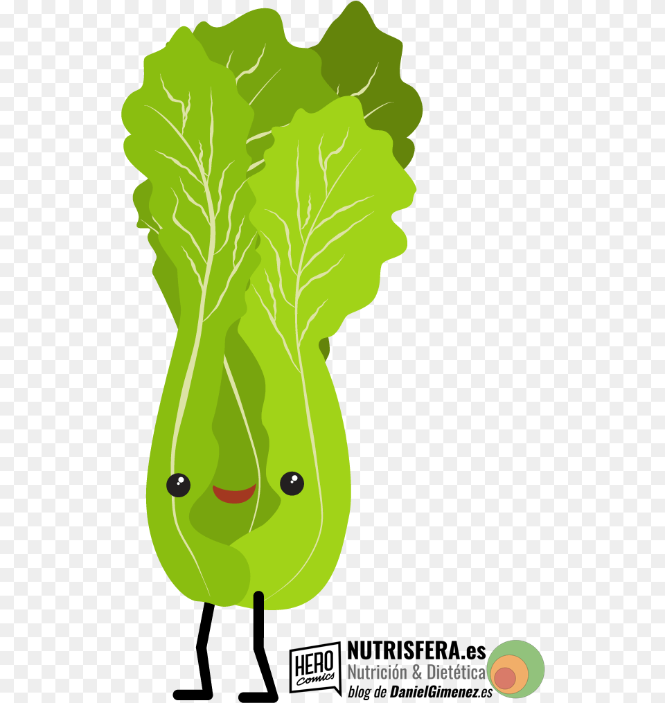 Transparent Vegetales, Food, Produce, Leafy Green Vegetable, Plant Free Png Download