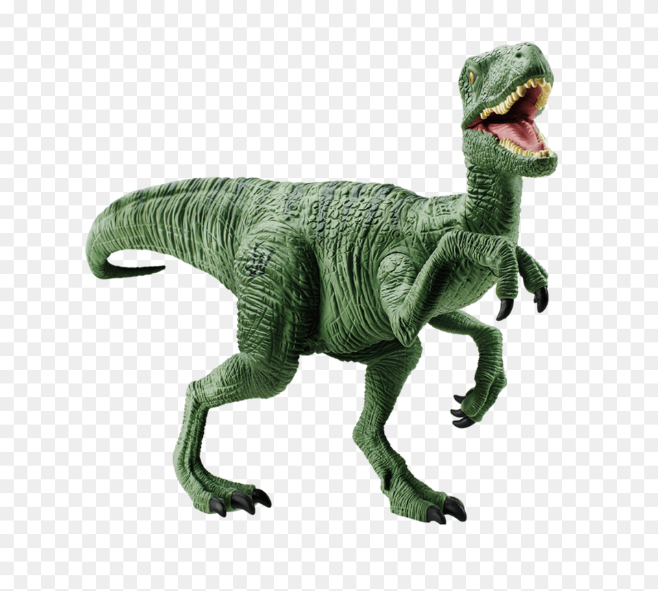 Velociraptor Clipart Velociraptor Charlie Jurassic World, Animal, Dinosaur, Reptile, T-rex Free Transparent Png