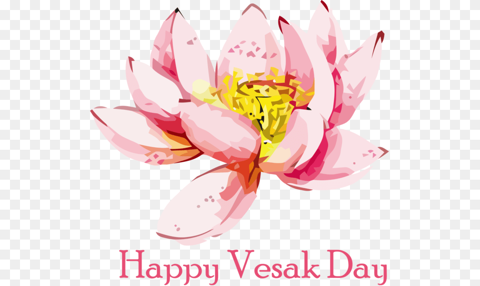 Vesak Flower Lotus Family Lotus For Buddha Happy First Day Of December, Dahlia, Petal, Plant, Anther Free Transparent Png