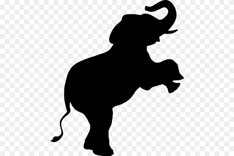 Transparent Video Play Icon Circus Elephant Silhouette, Gray Png Image