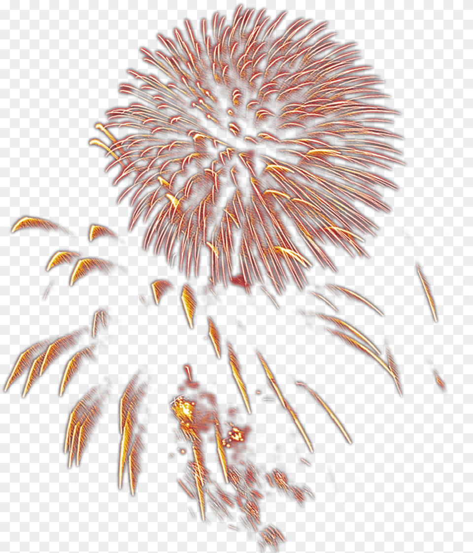 Transparent Vilakku, Fireworks, Plant Png