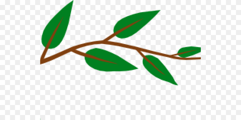 Transparent Vine Clip Art, Tree, Plant, Leaf, Herbs Png