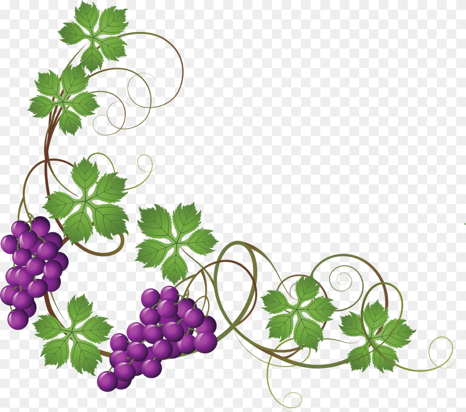 Transparent Vine Decoration Grapes On Vine Clipart, Food, Fruit, Plant, Produce Png