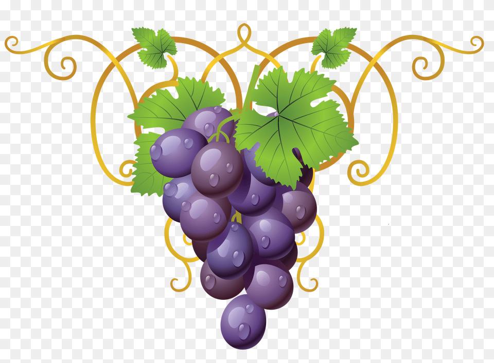 Transparent Vine Decorative Element Clipart Gallery, Food, Fruit, Grapes, Plant Free Png