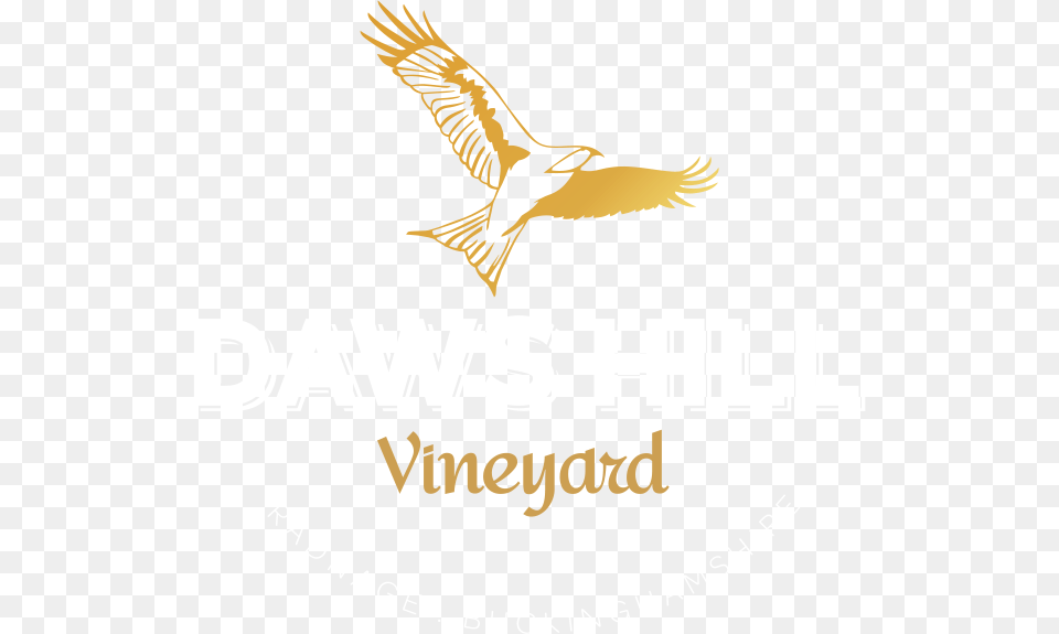 Transparent Vineyard Vines Hawk, Animal, Bird, Flying, Kite Bird Free Png Download