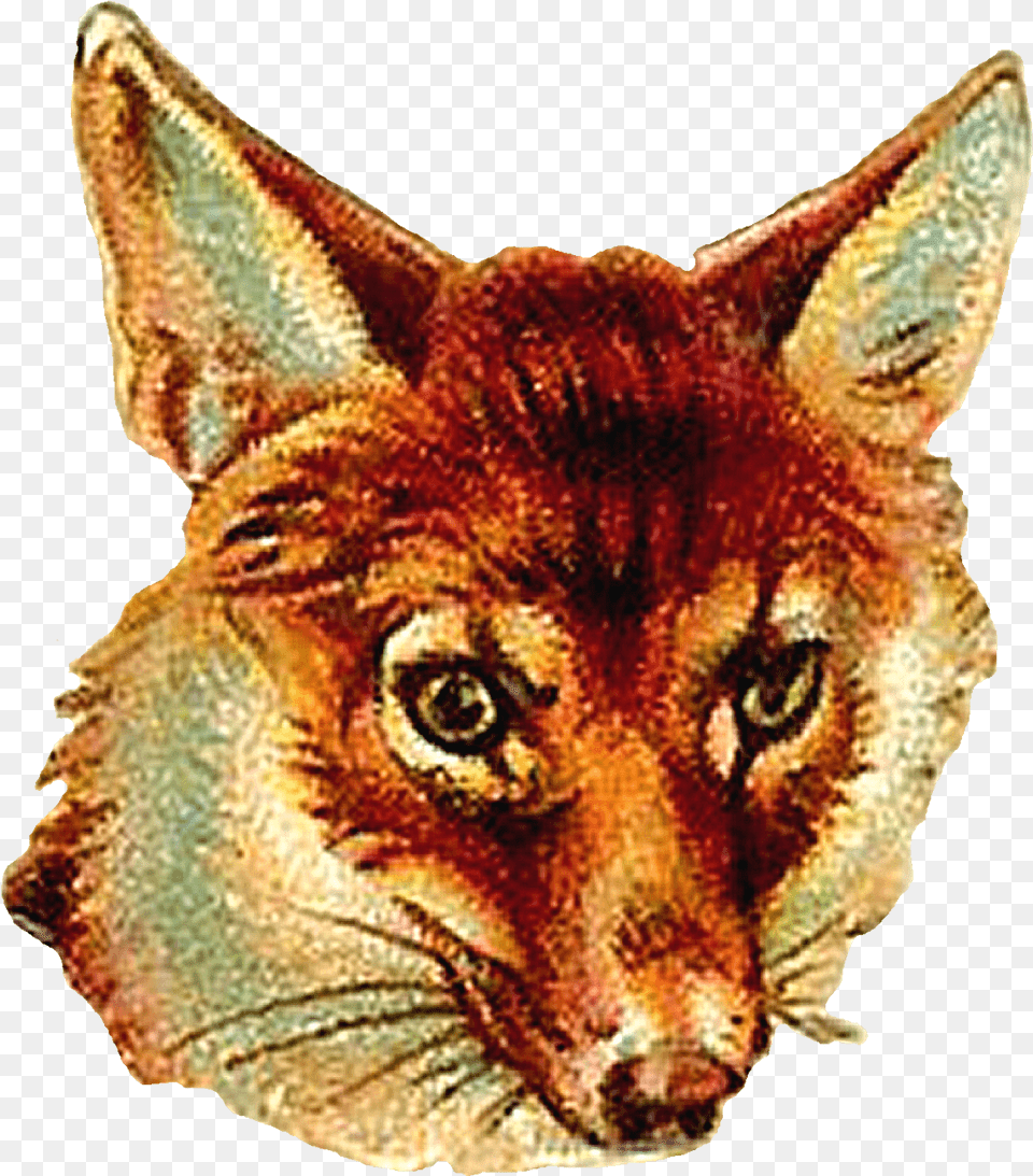 Transparent Vintage Animal Clipart Vintage Fox To Use, Reptile, Lizard, Mammal, Coyote Free Png