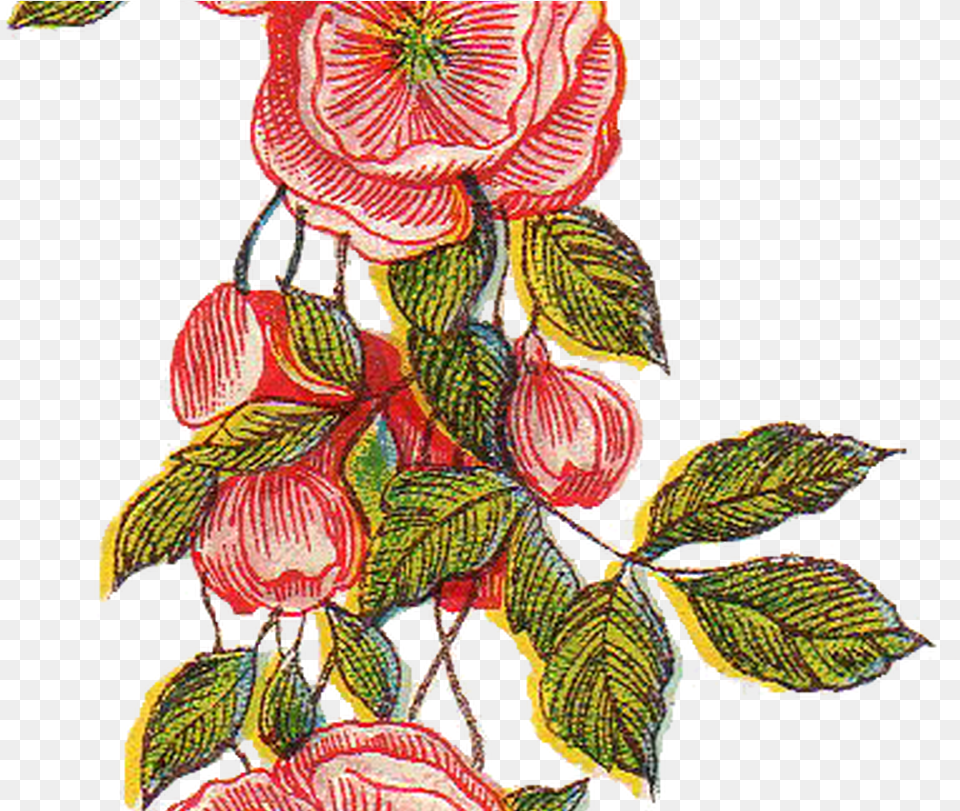 Transparent Vintage Floral Floral Vintage Design, Embroidery, Pattern, Art, Floral Design Png