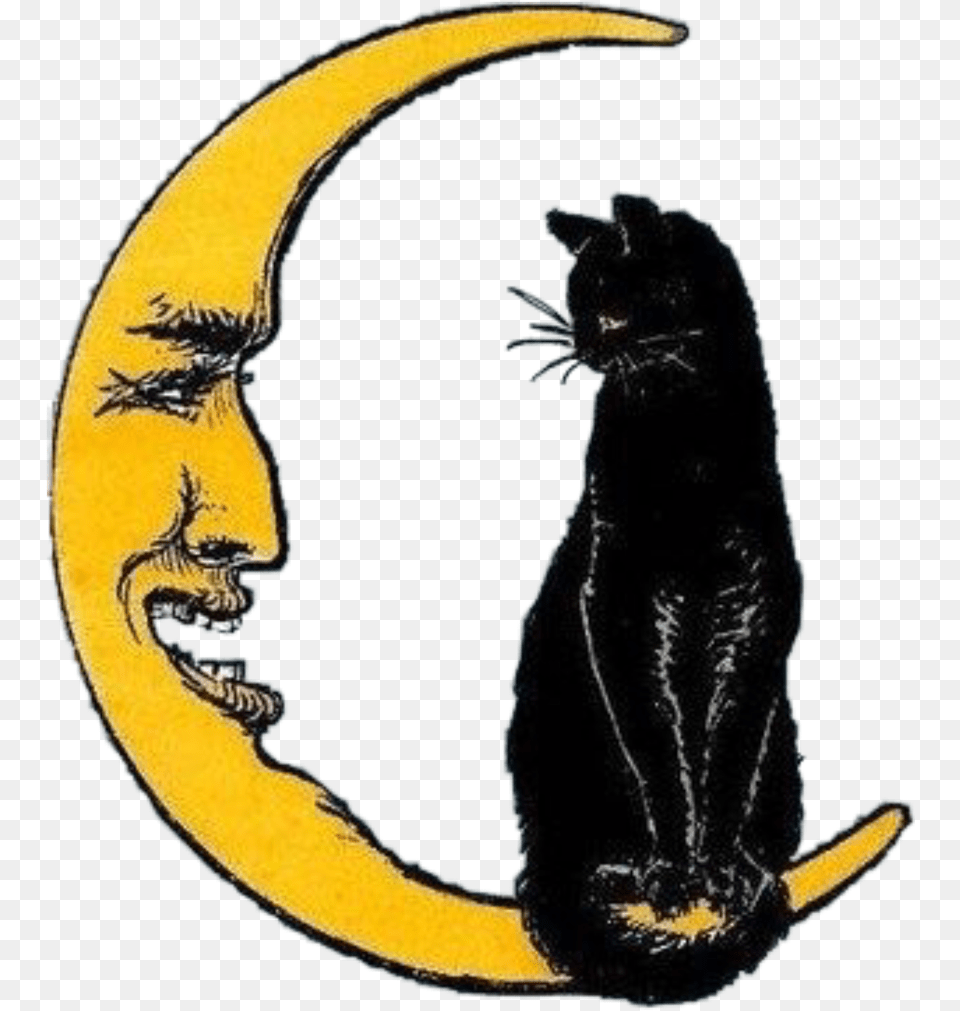 Transparent Vintage Halloween Cat Clipart Vintage Crescent Moon Art, Animal, Mammal, Pet, Person Free Png Download
