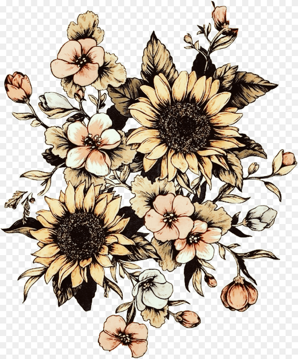 Transparent Vintage Sunflower Clipart Sunflower Drawing Black And White, Art, Floral Design, Graphics, Pattern Png Image