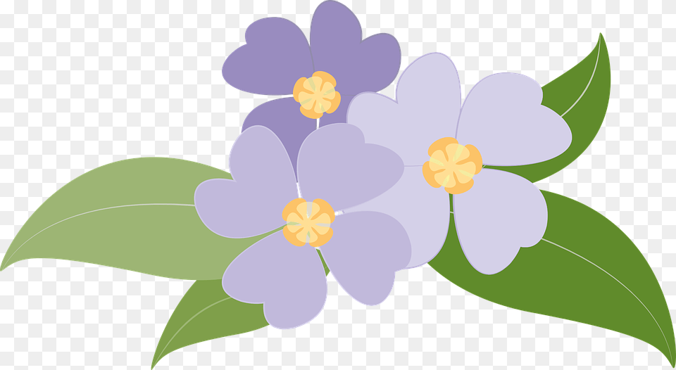 Transparent Violets, Anemone, Flower, Plant, Petal Png