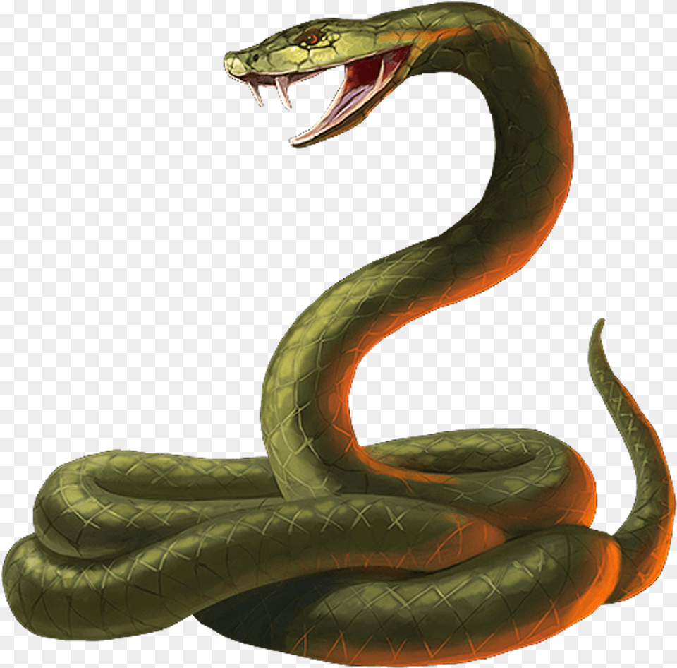 Transparent Viper Snake Transparent Snake, Animal, Reptile Free Png