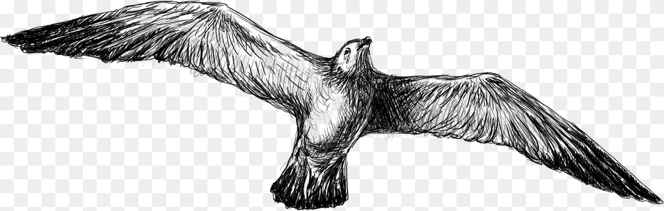 Transparent Vulture Clipart Black And White Golden Eagle, Gray Png Image