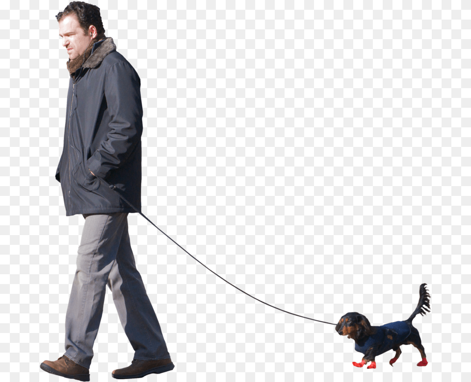 Transparent Walking Dog Man Walking Dog, Clothing, Coat, Accessories, Person Png Image