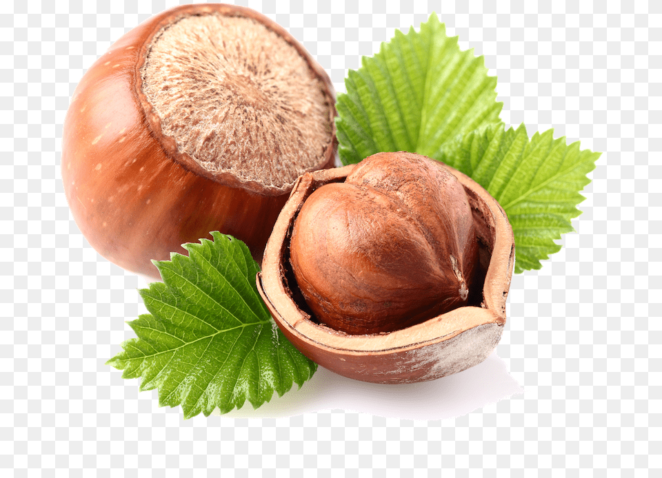 Transparent Walnuts Hazelnut With Transparent Background, Food, Nut, Plant, Produce Png Image