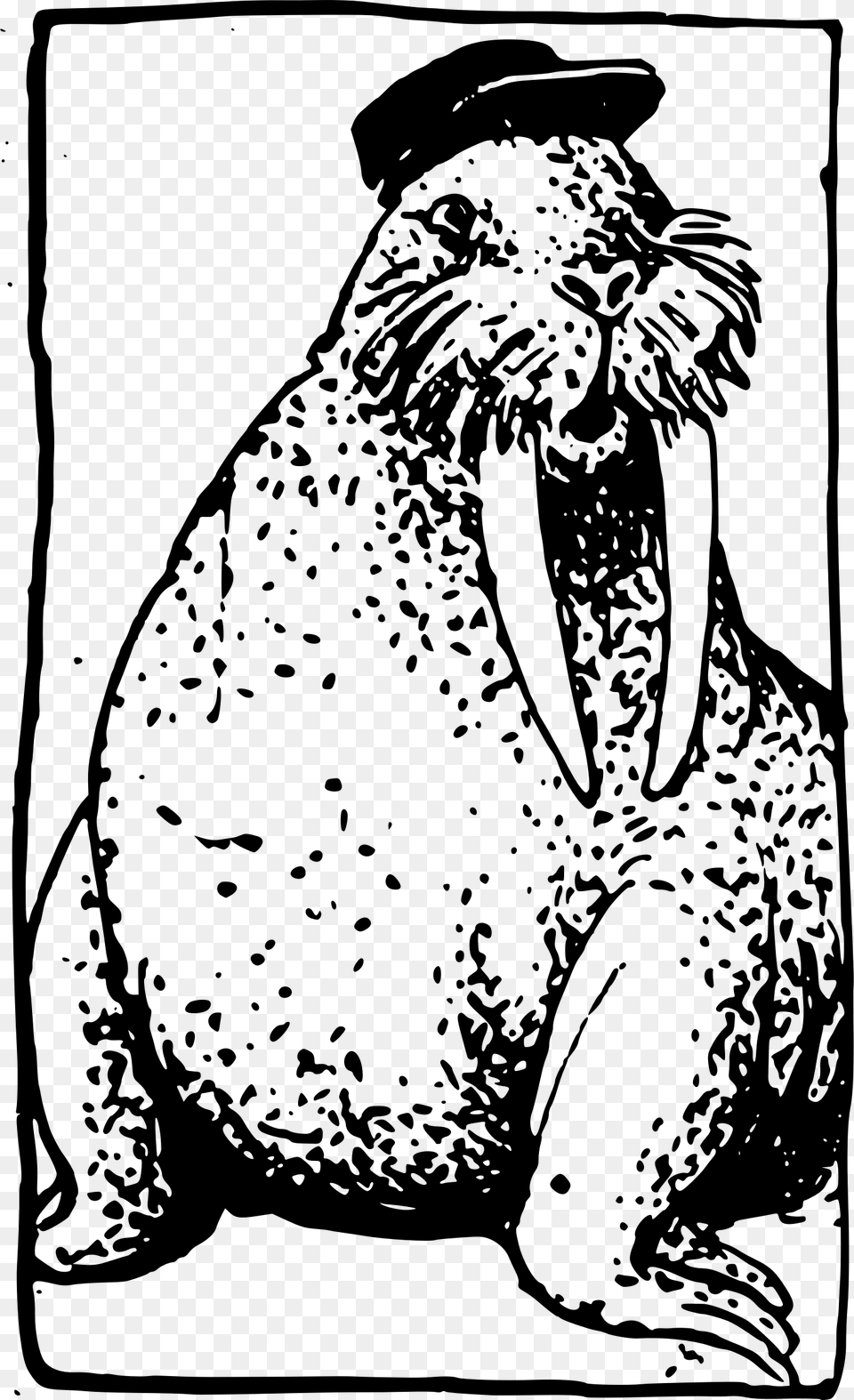 Transparent Walrus Clipart Illustration, Gray Png Image