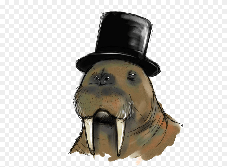 Transparent Walrus Walrus With Top Hat, Adult, Person, Man, Male Free Png