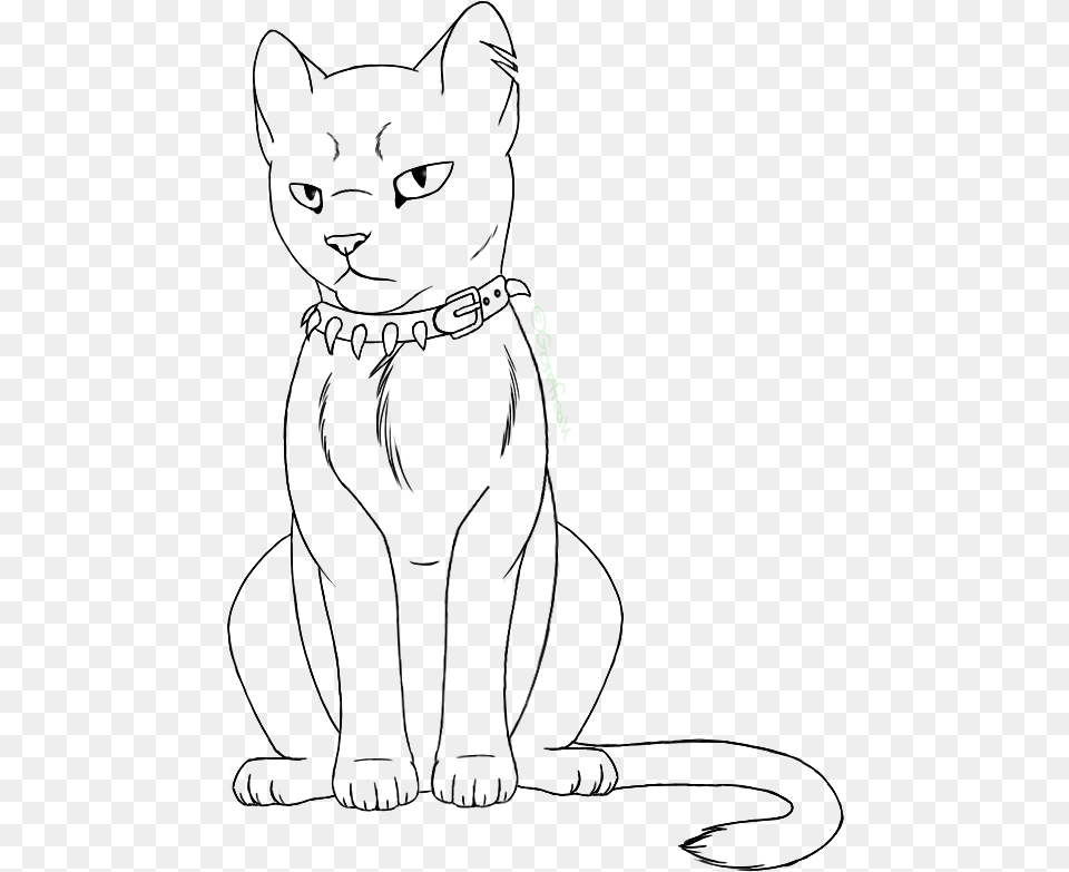 Transparent Warrior Cats Lineart, Nature, Night, Outdoors, Green Free Png