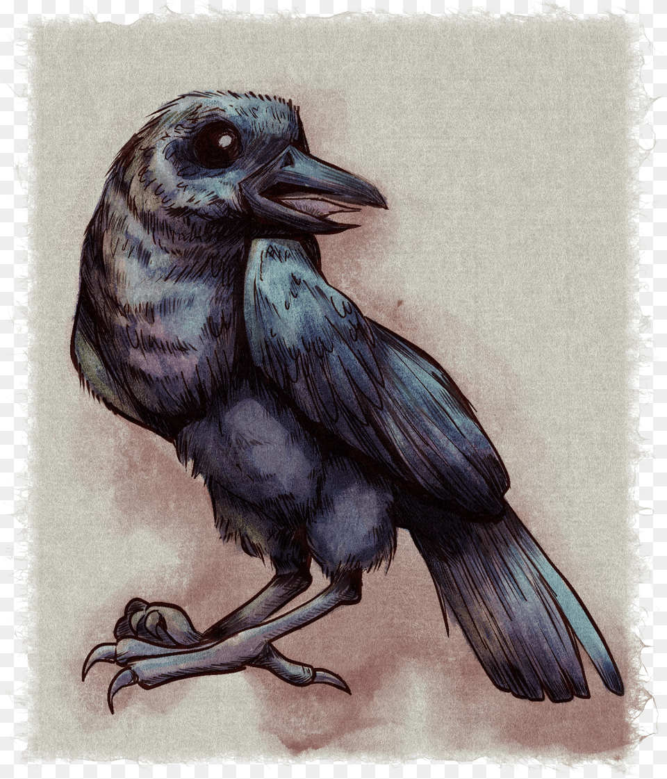 Transparent Water Color Heart American Crow, Animal, Bird, Blackbird Png Image