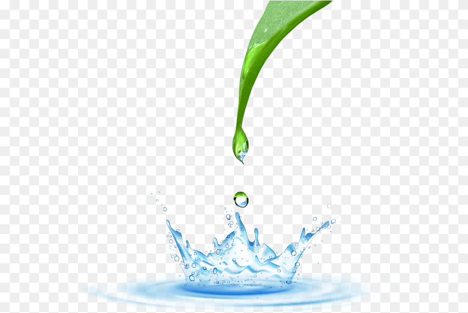 Water Drop Water Amp Drop, Droplet, Leaf, Plant, Outdoors Free Transparent Png