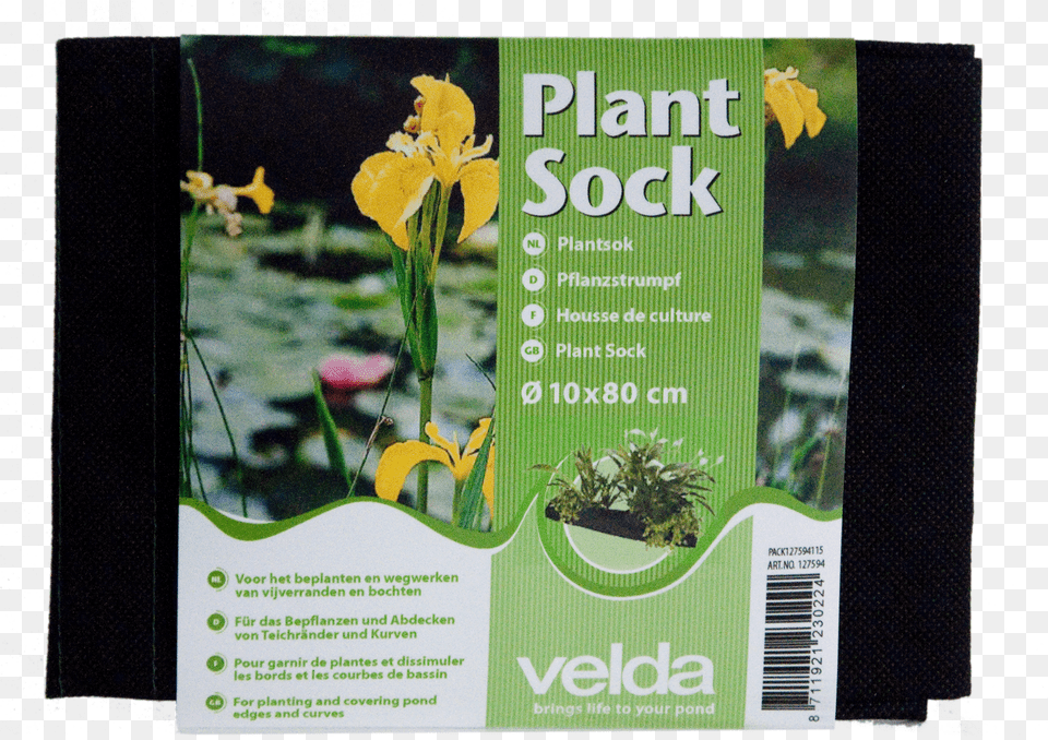 Transparent Water Plants Plant Sock Velda, Advertisement, Poster, Flower Png