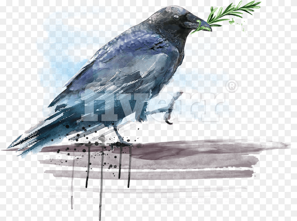 Transparent Watercolor Bird American Crow, Animal, Blackbird Free Png Download