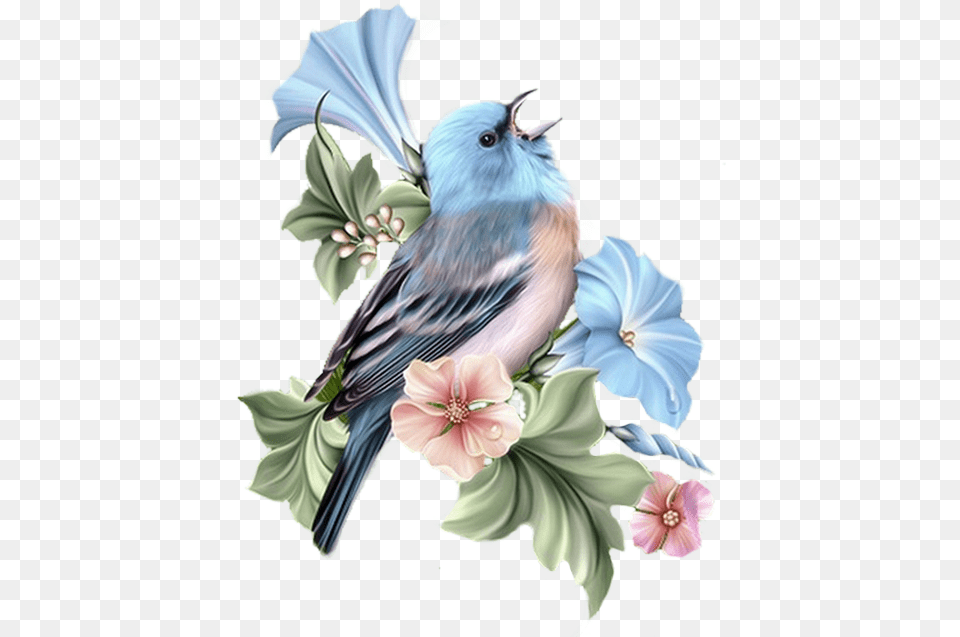 Transparent Watercolor Bird Beautiful Bird And Flower Art, Floral Design, Pattern, Graphics, Animal Free Png Download