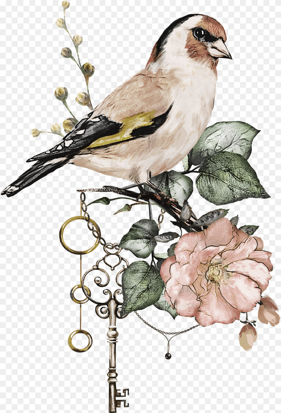 Transparent Watercolor Bird Birds With Flowers, Animal, Finch, Flower, Plant Png