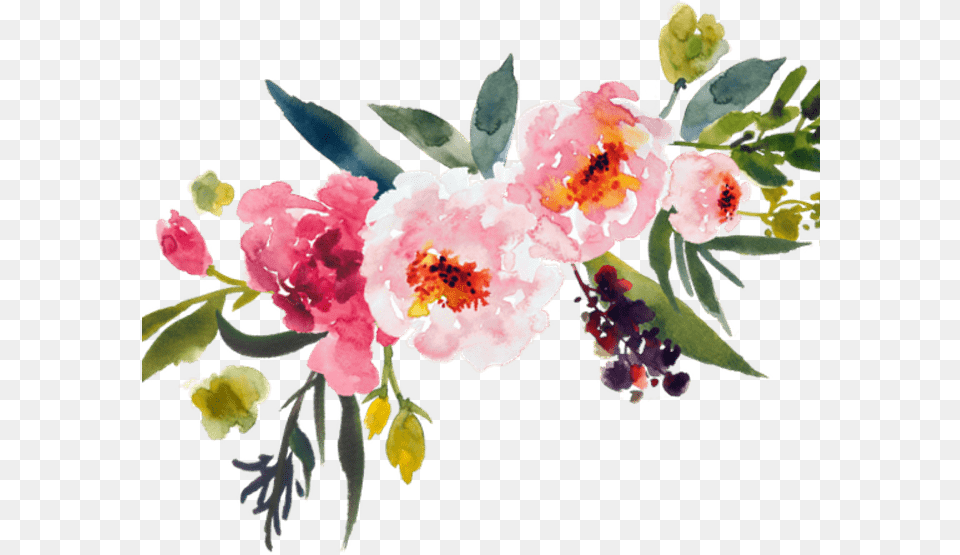 Transparent Watercolor Bouquet Transparent Background Flowers, Plant, Flower, Petal, Pattern Png Image