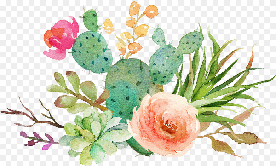 Transparent Watercolor Cactus Watercolor Cactus Clipart, Art, Plant, Pattern, Graphics Png Image