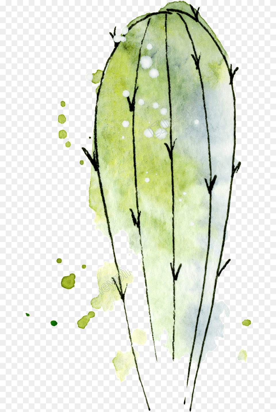 Transparent Watercolor Cactus Watercolor Cactus Icon, Plant Free Png