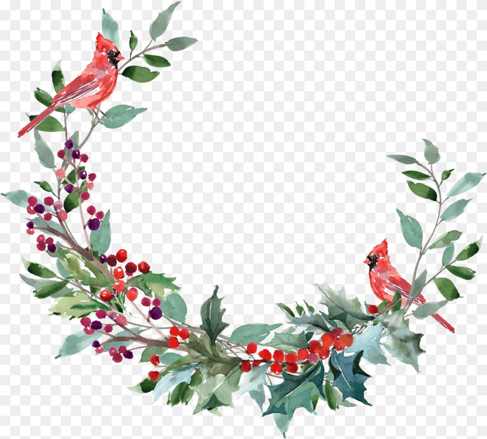 Transparent Watercolor Christmas Wreath Watercolour Christmas Wreath, Animal, Bird, Plant, Cardinal Png