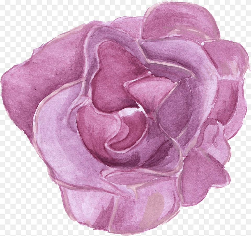 Transparent Watercolor Download Watercolor Flowers Transparent Purple, Flower, Petal, Plant, Rose Free Png