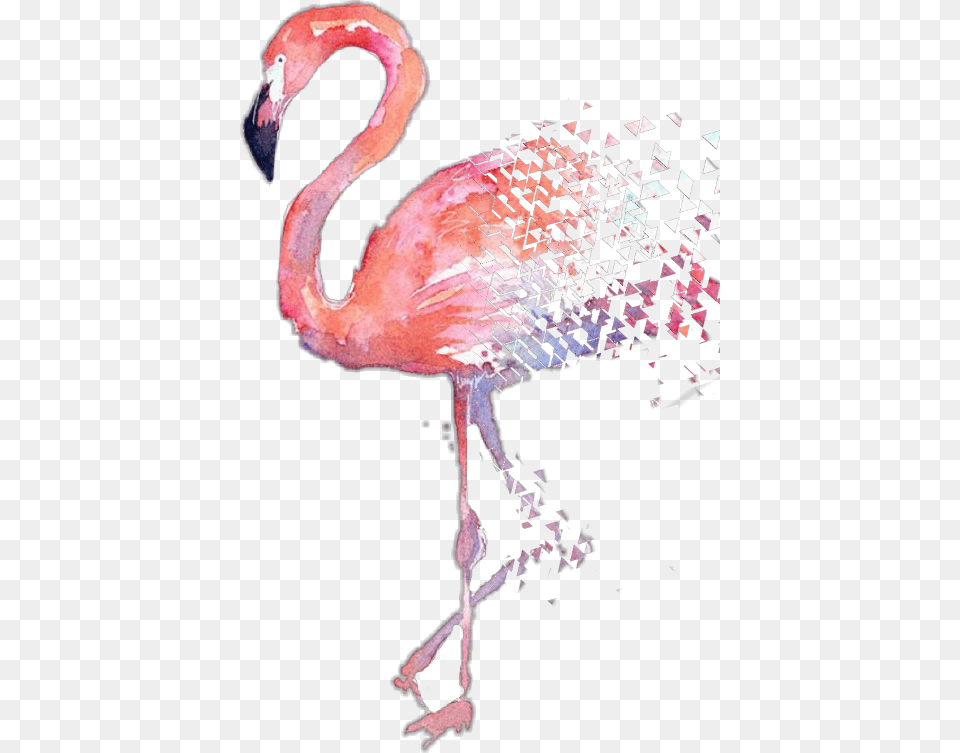 Watercolor Flamingo Watercolor Flamingos, Animal, Bird, Beak Free Transparent Png
