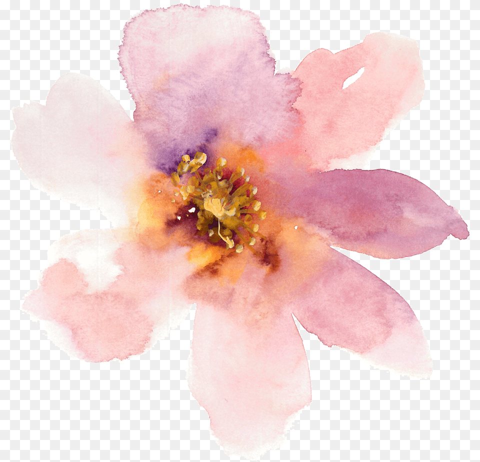 Transparent Watercolor Pale Pink Png