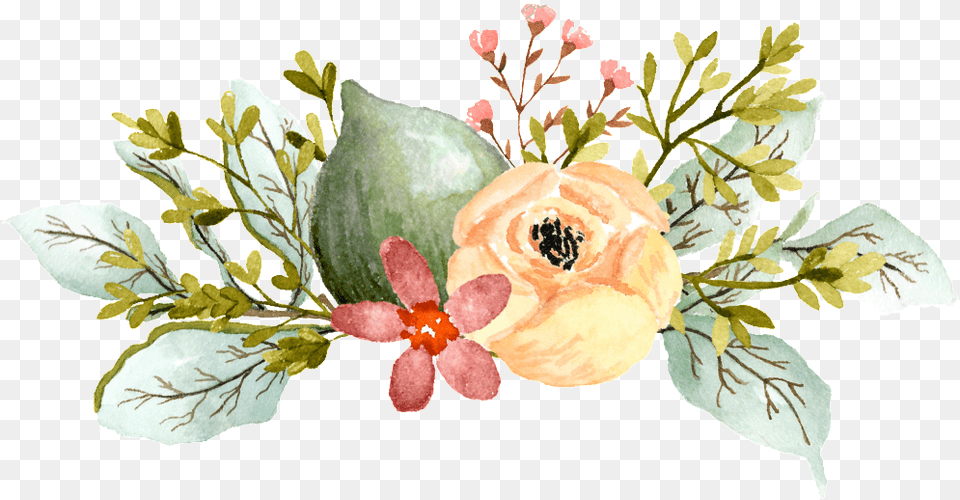 Transparent Watercolor Peony Artificial Flower, Art, Floral Design, Flower Arrangement, Graphics Png