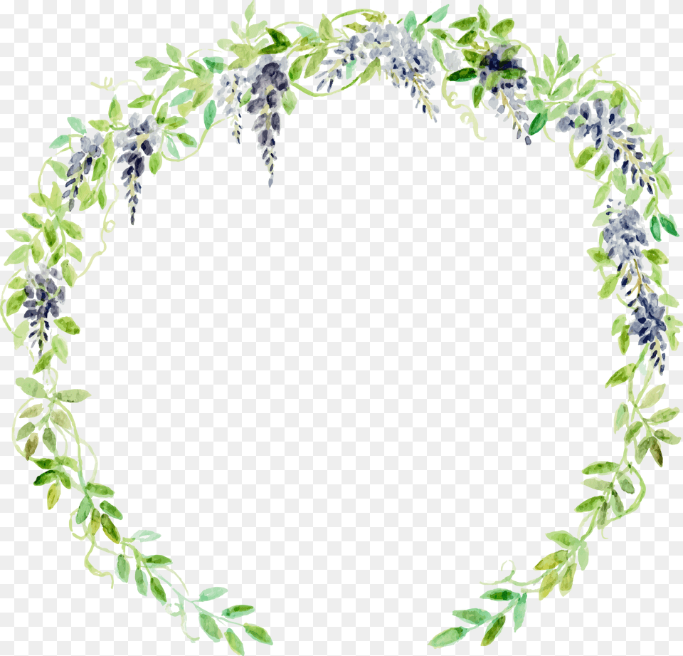 Transparent Watercolor Plant, Art, Floral Design, Graphics, Herbal Png Image
