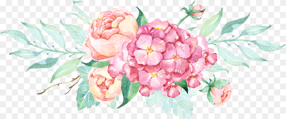Transparent Watercolor Plants Camera With Flowers Free Png