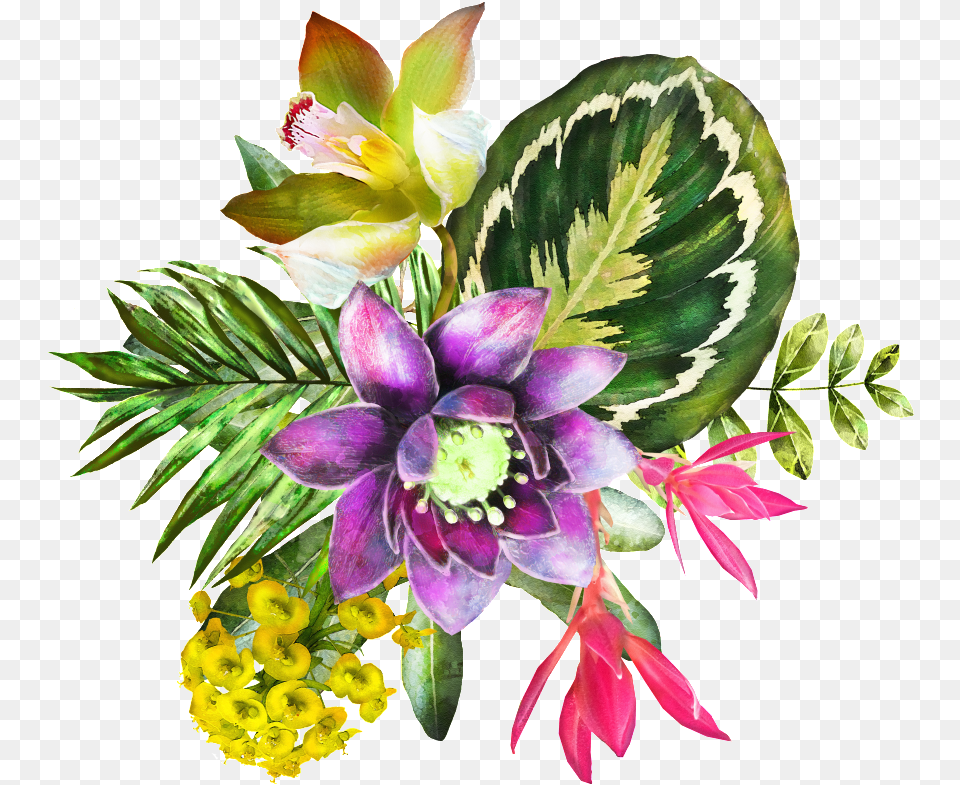 Transparent Watercolor Plants Transparent Background Watercolour Plants, Art, Floral Design, Flower, Flower Arrangement Png Image