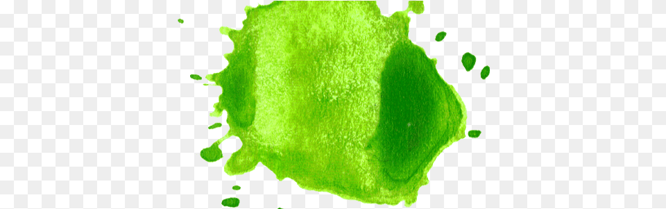 Transparent Watercolors Green Splash Transparent, Person, Stain, Moss, Plant Png
