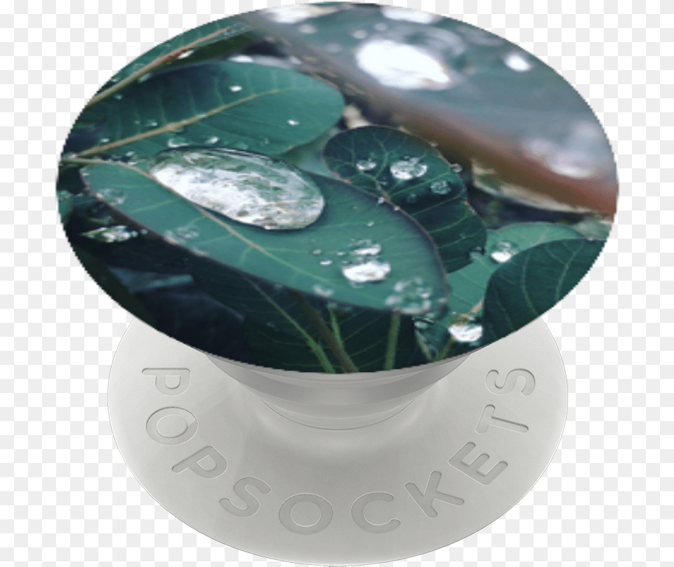 Waterdrops Crystal, Droplet, Leaf, Plant, Sphere Free Transparent Png