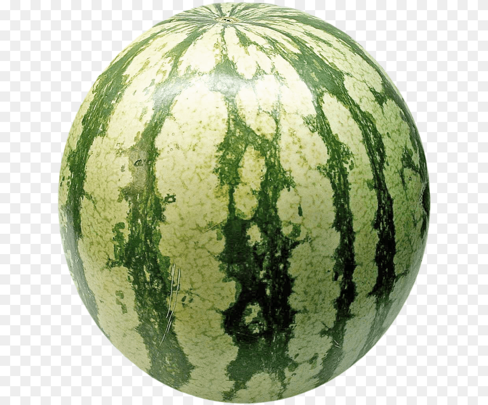 Transparent Watermelon Vector Watermelon, Food, Fruit, Plant, Produce Free Png Download