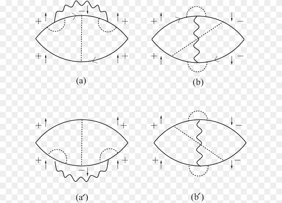 Transparent Wavy Line Drawing, Animal, Clam, Food, Invertebrate Free Png