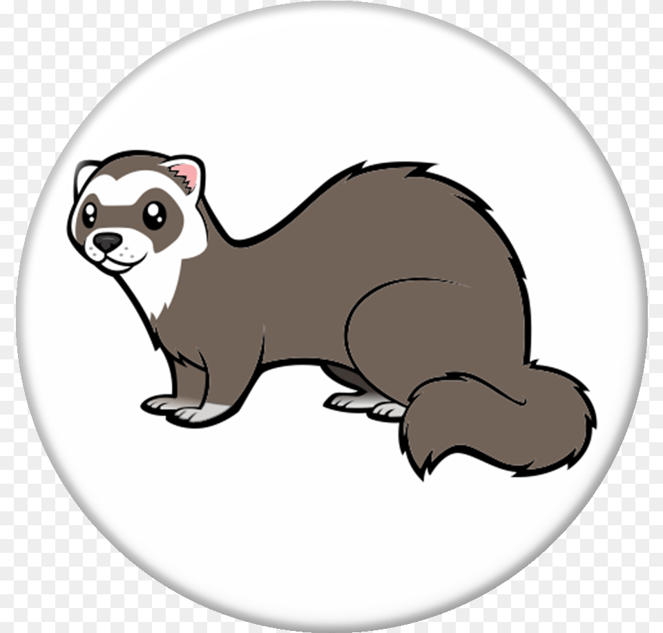 Transparent Weasel Cartoonize My Pet Ferret, Animal, Mammal, Wildlife, Canine Png