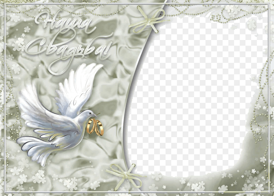 Transparent Wedding Photo Frames, Animal, Bird Free Png