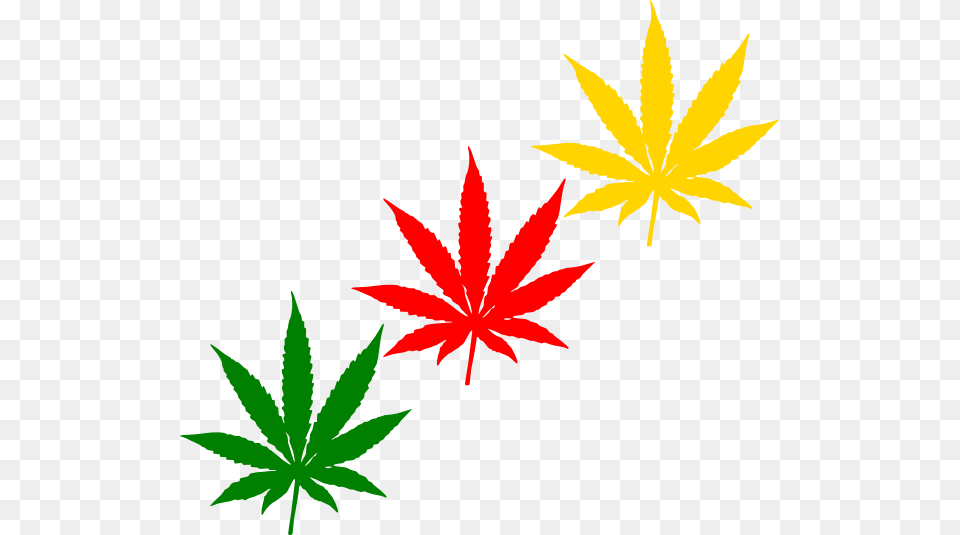 Transparent Weed Cannabis, Leaf, Plant, Herbal, Herbs Png