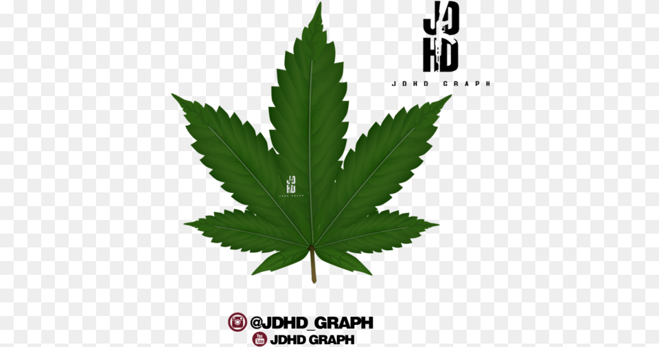 Transparent Weed Clipart, Leaf, Plant, Tree Png